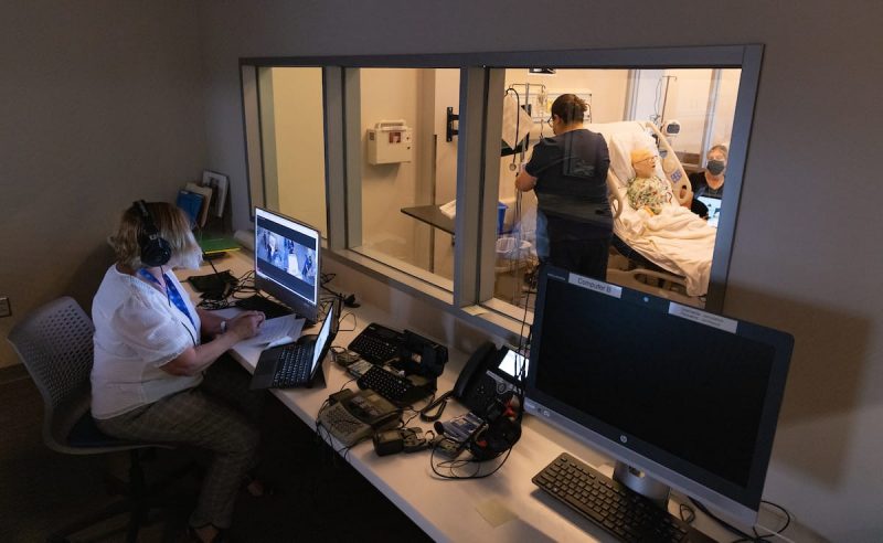 About The College Of Health And Human Services Health And Human 